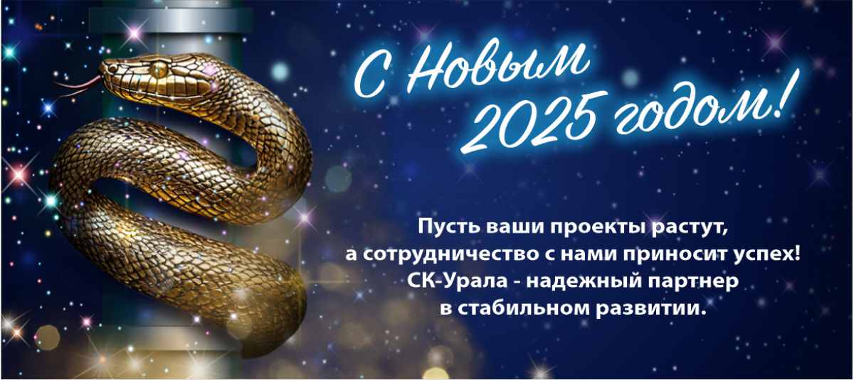 Поздравляем с наступающим Новым годом! Пусть будущее будет светлым и успешным!